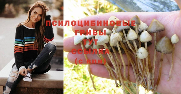 кокаин Горнозаводск