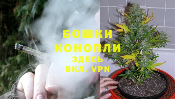 прущая мука Горняк