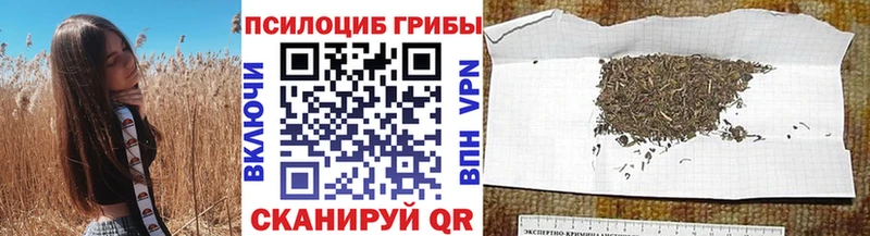 Галлюциногенные грибы мицелий  shop клад  Нязепетровск 